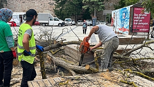 KURUYAN AĞAÇ KALDIRILDI!